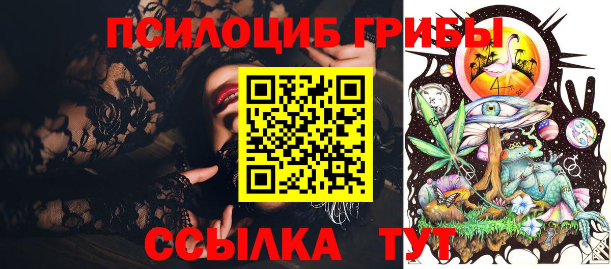 Псилоцибиновые грибы MAGIC MUSHROOMS  Вход с VPN  даркнет сайт  Галлюциногенные грибы Psilocybe  Кисловодск 