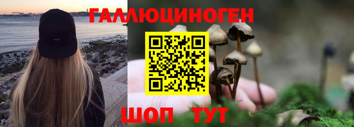 Галлюциногенные грибы прущие грибы Кисловодск